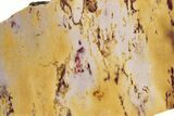 Polished Mookaite Jasper Slab - Australia #234814-1